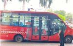 Passenger Transfer Services at Tan Son Nhat International Airport for the Lunar New Year 2025